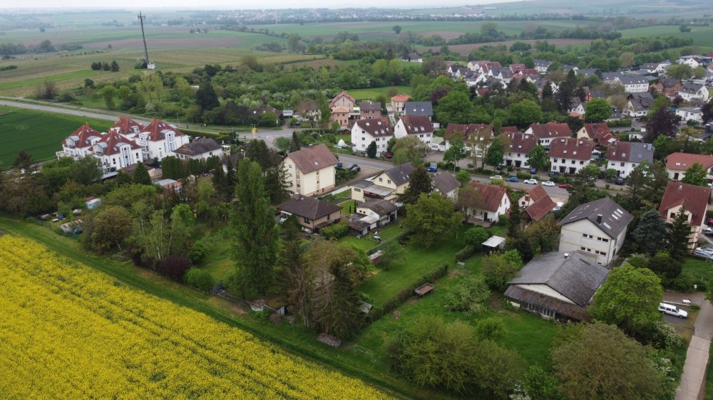 Image new build property houses Am Küchelberg Gau-Bischofsheim