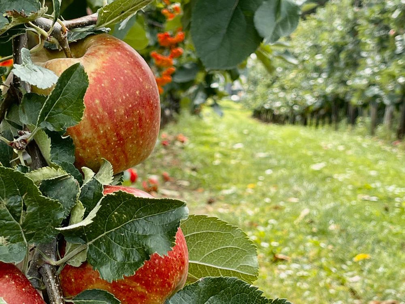 Naturerlebnisse in der Nachbarschaft