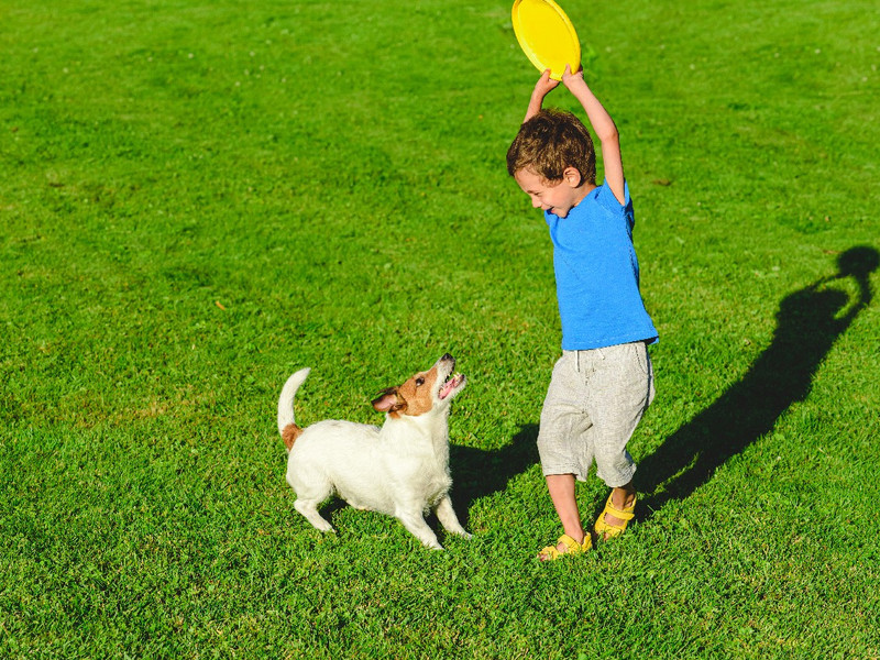 Spielen im eigenen Garten