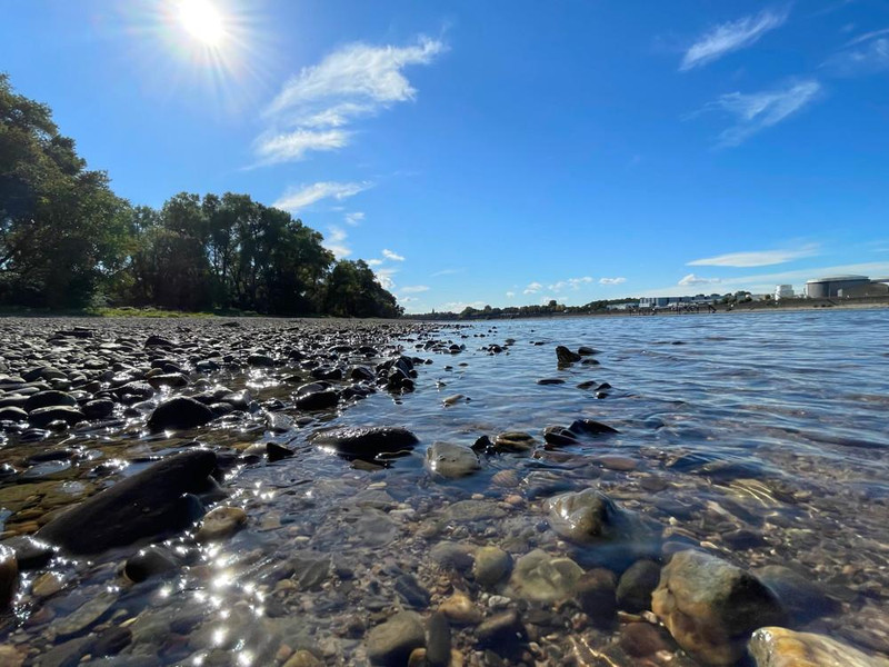 Kurze Wege bis zum Rhein 