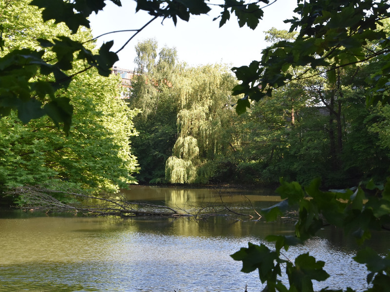 Reserviert!   Microapartment mit Terrasse!