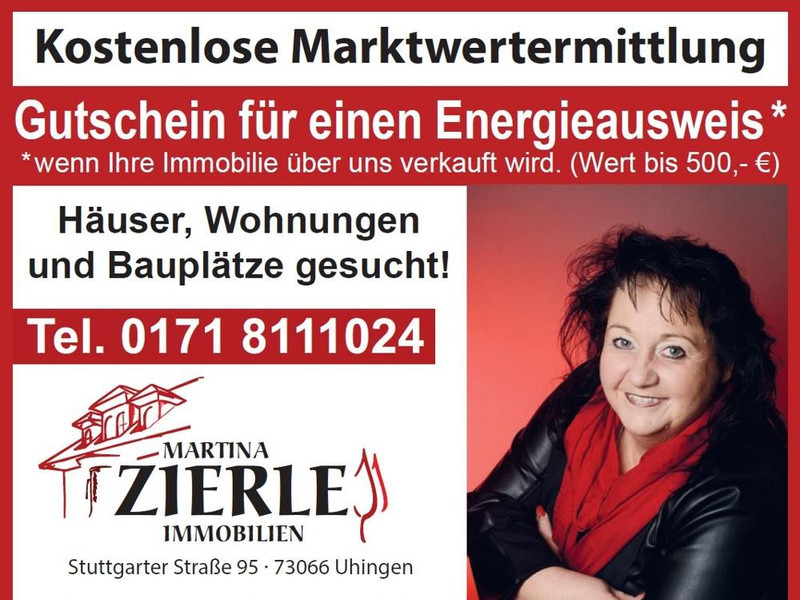 Aktion Energieausweis