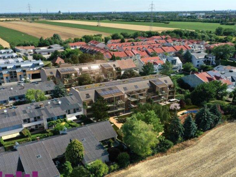 TIMBER*LAA - Bezugsfertige Neubau Erstbezugswohnungen mit ersklassigem Wohnklima