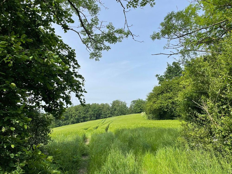 Für Naturliebhabende