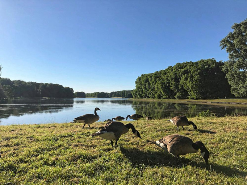 fußläufig zum Decksteiner Weiher 